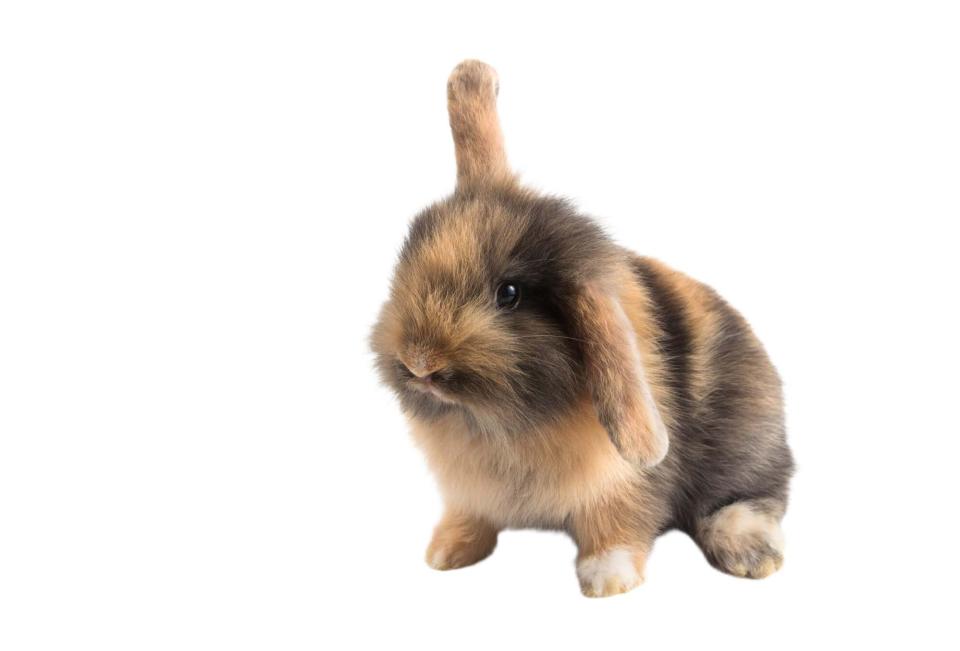 Tratamiento en el incremento del apetito